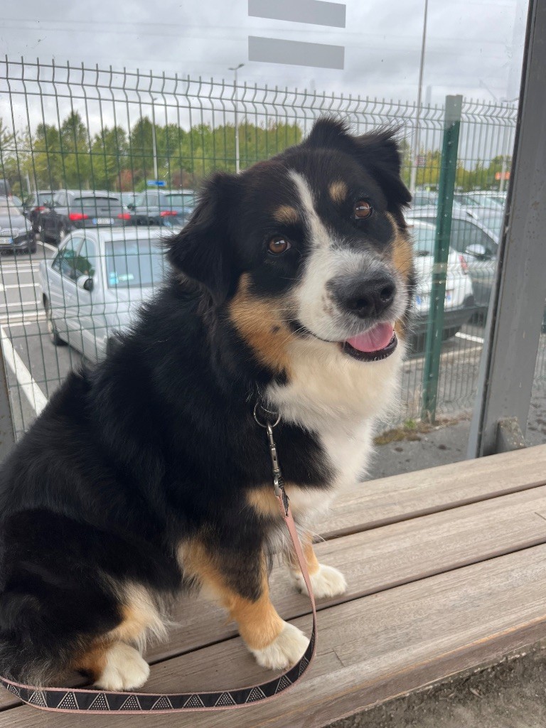 Du Ruisseau De L'agache - Naissance Janvier 2026